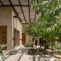 Terra Casa / Dashline Studio - Exterior, Windows, Garden Photography